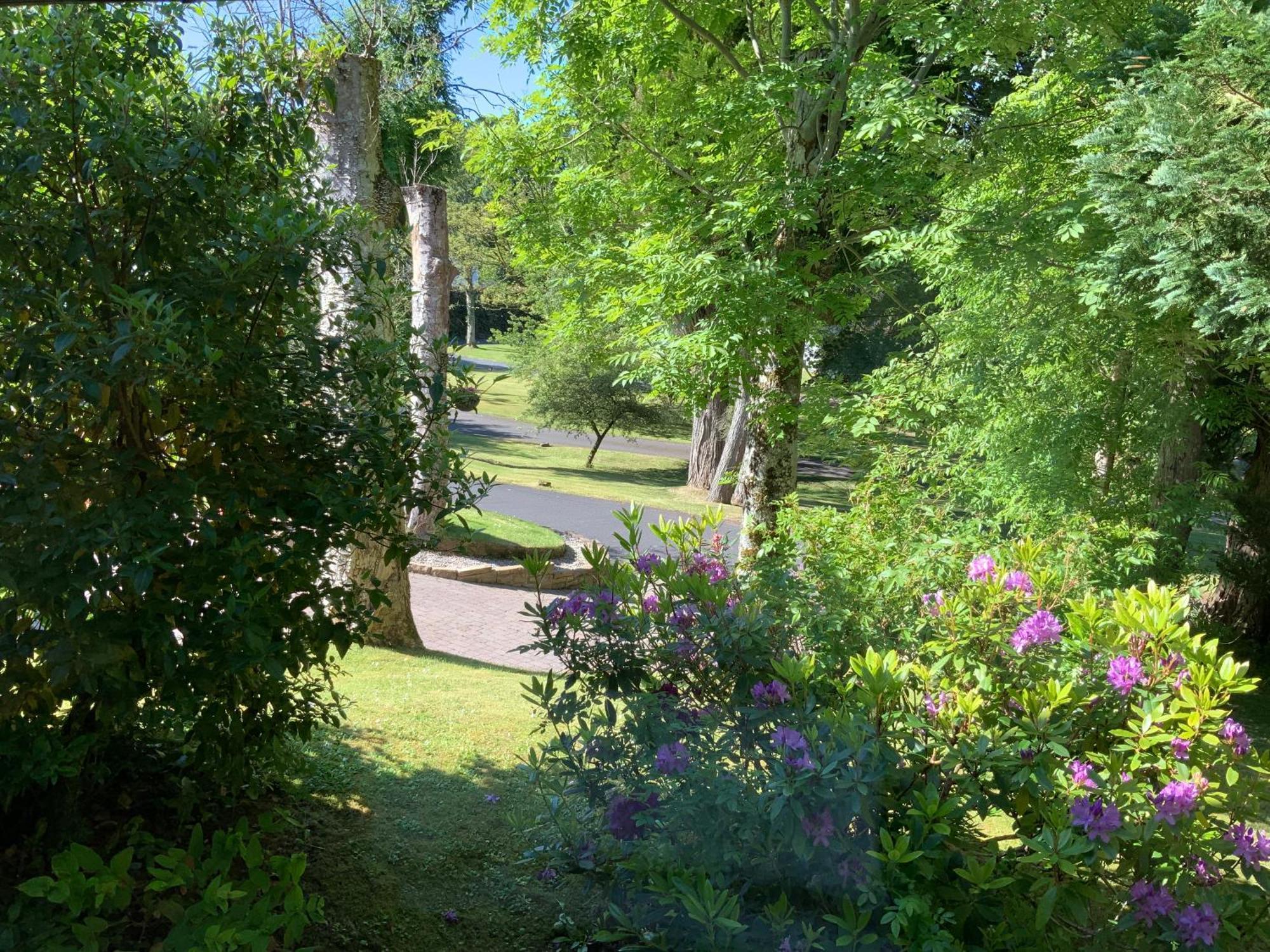 Havenwood Apartment Ayr Bagian luar foto